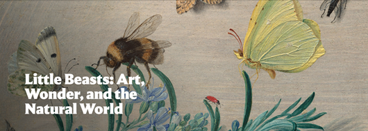 Image of Little Beasts at the National Gallery of Art, Washington D.C.