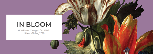 Image of In Bloom at the Ashmolean