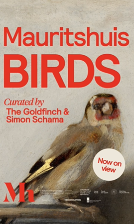 Image of Birds at the Mauritshuis