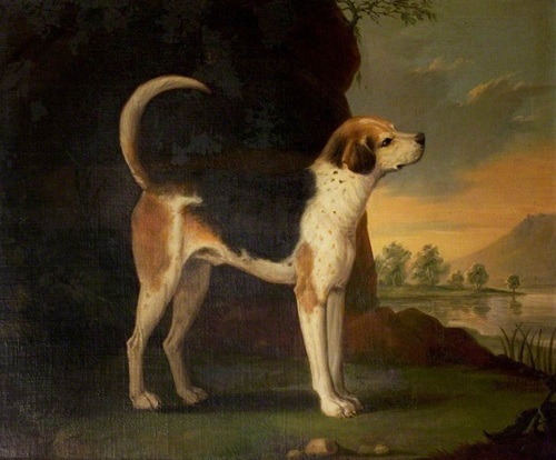 Image of 2,000 Posts Later.... and Trojan